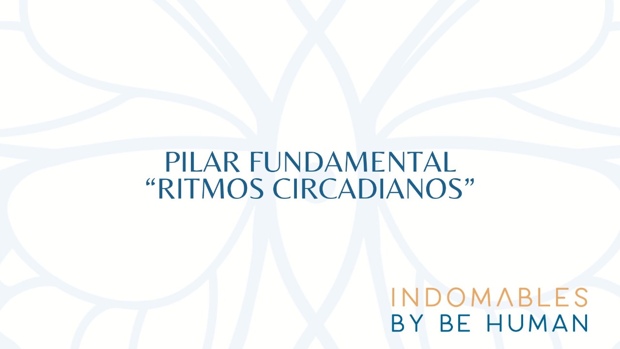 Pilar fundamental: Ritmos circadianos