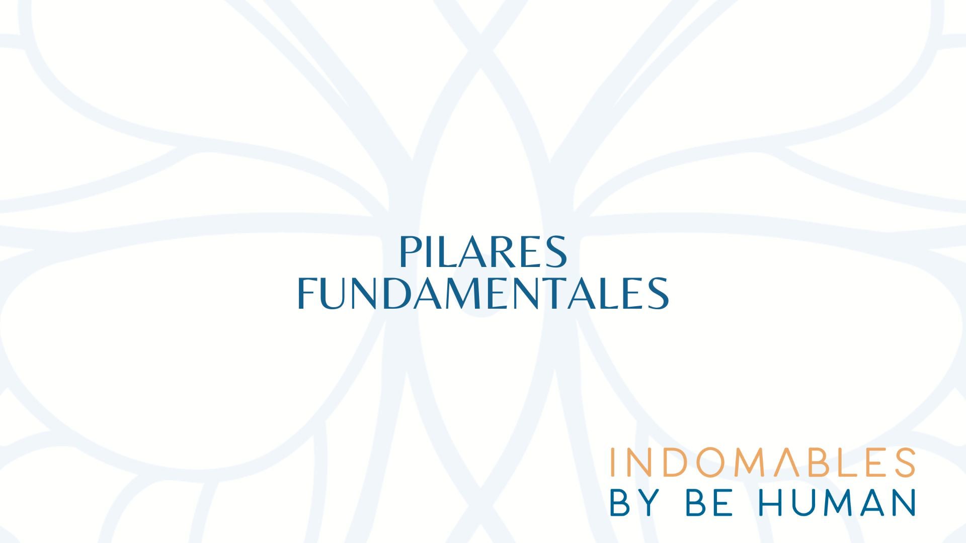 Indomables: Pilares fundamentales